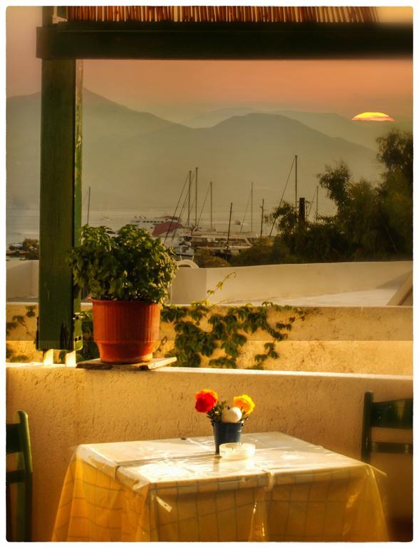 Georgios Milos Adamantas  Cameră foto